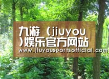 种植基地九