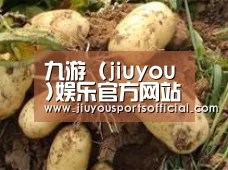 产品展示标题2