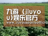 种植基地五