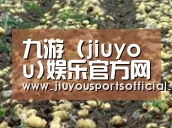 种植基地八(图1)