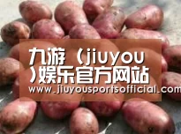 产品展示标题5