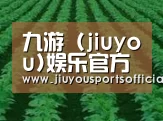 种植基地六(图1)