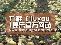 种植基地七