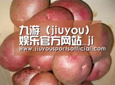 产品展示标题1