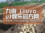 种植基地七(图1)