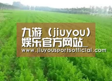 种植基地四