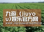 种植基地五(图1)