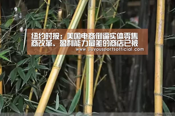 纽约时报:美国电商倒逼实体零售商改革、盈利能力最差的商店已被淘汰-jiuyou(图4) 九游娱乐官网