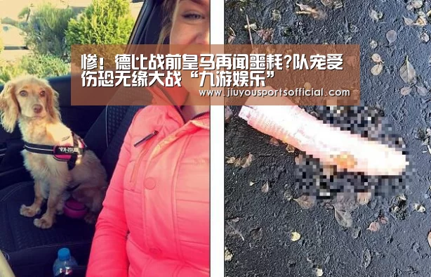 惨!德比战前皇马再闻噩耗?队宠受伤恐无缘大战“九游娱乐”(图1) 9游官网